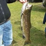 Profile Picture of Michael Wiberg (@micce_w) on Instagram