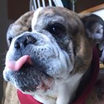 Profile Picture of Jake Haygood (@jakehaygood391) on Instagram