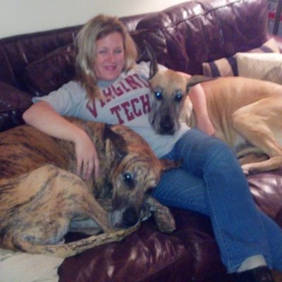 Profile Picture of Shannon Watts (@DaneMamaShannon) on Twitter