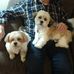 Profile Picture of Marilyn Weist (@marilyn.weist) on Facebook