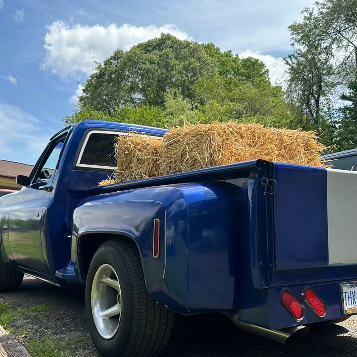 Profile Picture of Bryan (@harris.601) on Tiktok