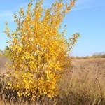 LUETKEMEYER GALLE - Instagram Profile Picture of LUETKEMEYER GALLE (@luetkemeyer_ga) on Instagram