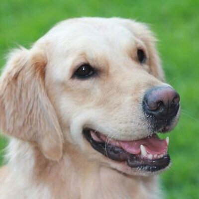 Profile Picture of Winnie Clark (@CariMom) on Twitter