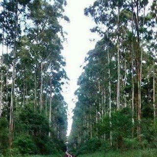 Profile Picture of Fadel Amer (@fadel.amer.94) on Facebook