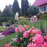 Profile Picture of Netra Rai (@netra.rai.754365) on Instagram