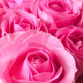 Profile Picture of Michiko Takahashi (@miema375136) on Pinterest