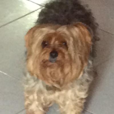 Profile Picture of Jairo Cuevas (@jairocuevas81) on Twitter