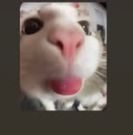 Profile Picture of Felix Henderson Catalan (@felix.henderson.catalan) on Facebook