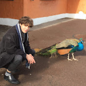 Profile Picture of Steven Fell (@stevfell) on Youtube