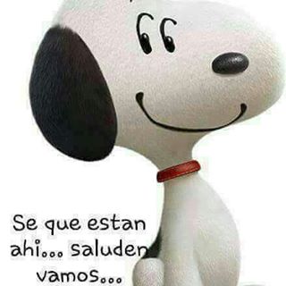 Profile Picture of Johan Paz (@johan.paz.16547) on Facebook