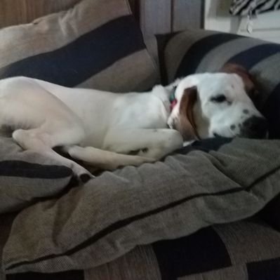 Profile Picture of Keith Angell (@KeithA4377) on Twitter