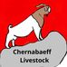 Profile Picture of Joshua Chernabaeff (@joshua.chernabaeff) on Facebook