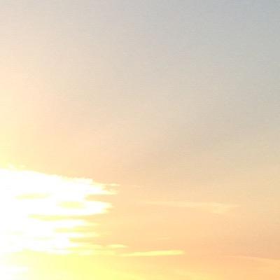 Profile Picture of Amanda Thode (@AmandaNThode) on Twitter