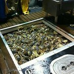 Profile Picture of Jesse Padilla (@jesse.padilla.948) on Instagram