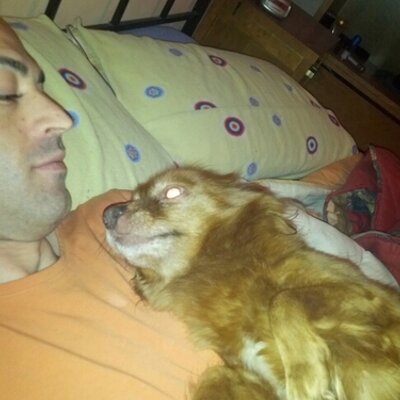 Profile Picture of Andres Olmedo Sanche (@AndyOLSA) on Twitter