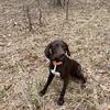 Profile Picture of Nathan Herron (@@nathanherron3) on Tiktok