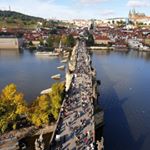 Profile Picture of Raffaele (@raffaelee.imbrianii) on Instagram