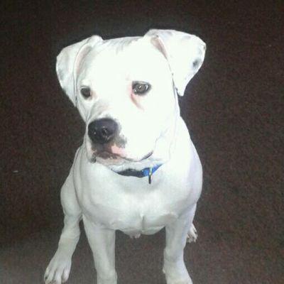 Profile Picture of Dana Bray (@dbray1923) on Twitter