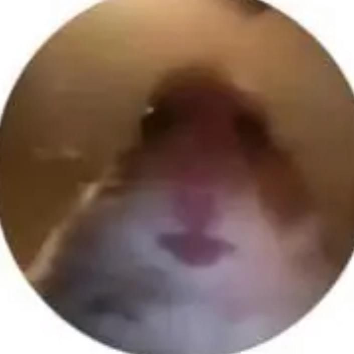 Profile Picture of Fredsta (@umissedthejoke123484) on Tiktok