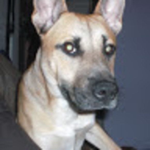 Profile Picture of Eli Robertson (@eli_robertson) on Poshmark