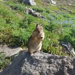 Profile Picture of Andres Patish (@andres.patish.2025) on Facebook