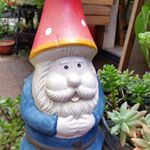 Profile Picture of Steve Buttignol (@stevebuttignol) on Instagram