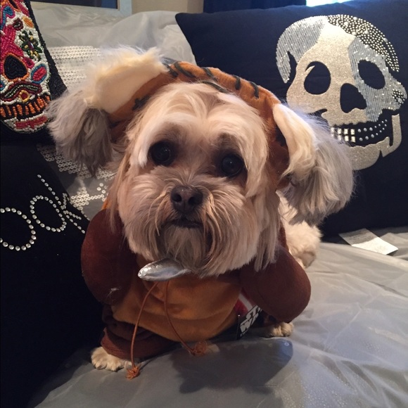 Profile Picture of Melodee Pepperman (@melodee14) on Poshmark