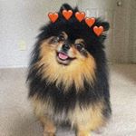 Profile Picture of fritzzyy (@fritzjuliannecawan) on Instagram