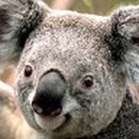 Profile Picture of Jeffery Bradley (@jeffery-bradley-13) on Quora