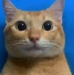 Keneth Yesid - Facebook Profile Picture of Keneth Yesid (@keneth.yesid.2025) on Facebook