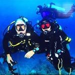 Profile Picture of Tony Wilcox (@sharkys_co) on Instagram