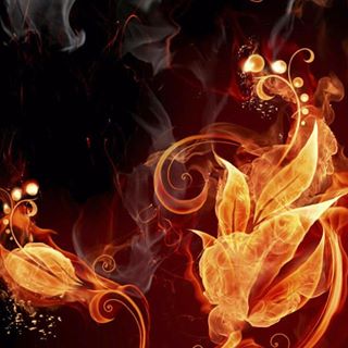 Profile Picture of Mehran Koohestani (@mehran.koohestani) on Facebook
