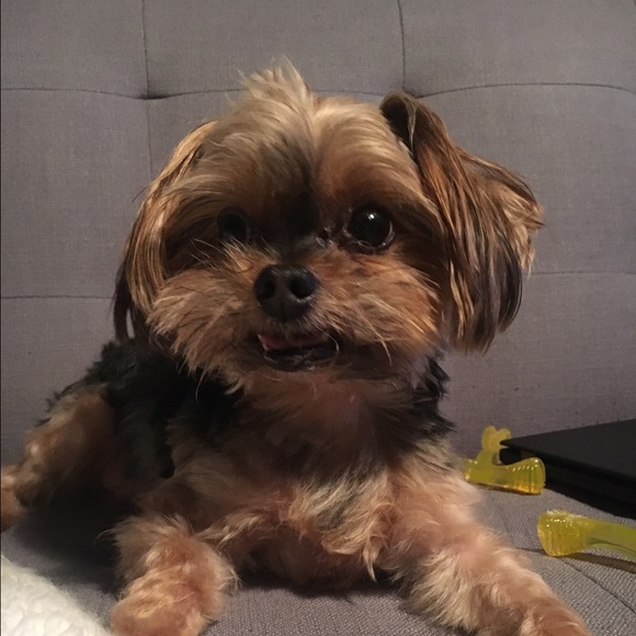 Profile Picture of Shawna Hoffman (@shawnahoffman) on Poshmark