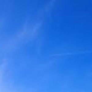 Profile Picture of r_o_b_e_r_t_o (@roberto_sh) on Tiktok