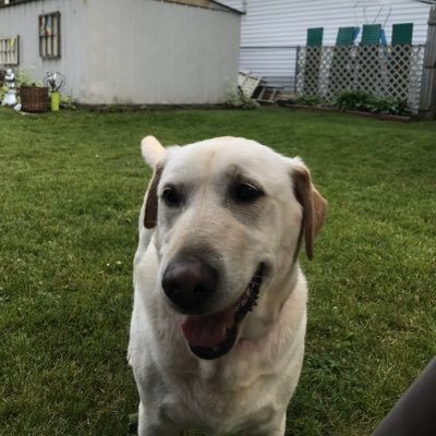 Profile Picture of Kevin Sontag (@kazzy103070) on Twitter