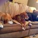 Profile Picture of Chris Brockwell (@cbrockwell3) on Pinterest