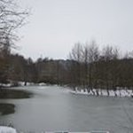 Profile Picture of Mark Gashi (@gashimark) on Instagram