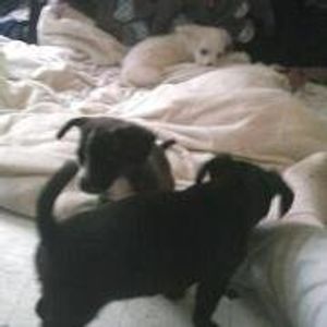 Profile Picture of Ray Soto (@ray.soto.18294) on Myspace