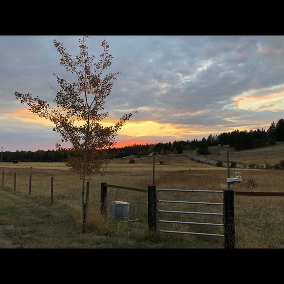 Profile Picture of Christian Malley (@malleych) on Poshmark