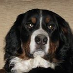 Profile Picture of Janet Bridger (@bridgerjanet) on Instagram