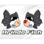 Profile Picture of Arindo Fisch (@Arindo-Fisch) on Facebook