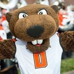 Profile Picture of Meredith Krauss (@meredith.krauss) on Instagram