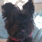 Profile Picture of Matthew Casserly (@mr_casserole) on Instagram