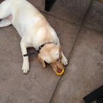 Profile Picture of Tonja Jean Vietheer (@ray_vietheer_1123) on Instagram