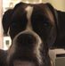 Profile Picture of Ray Nix (@ray.nix.71) on Facebook