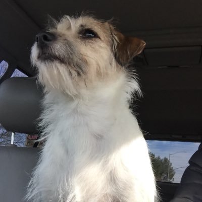 Profile Picture of Mike Skelton (@Skelton5Mike) on Twitter