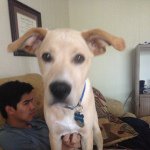 Profile Picture of Michael McGee (@michaelmcgee13) on Instagram