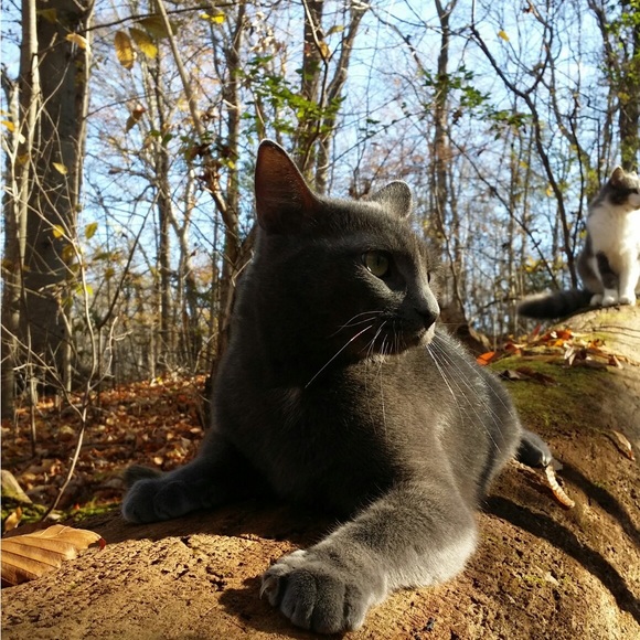 Sheila Vilvens - Poshmark Profile Picture of Sheila Vilvens (@svilvens) on Poshmark