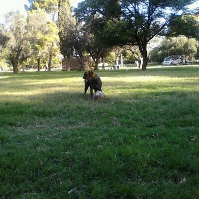 Profile Picture of Juana Julia Silba (@jjsilba45) on Twitter