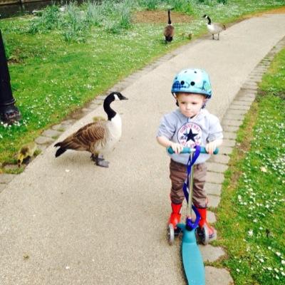 Profile Picture of Tracey Callaghan (@traceyjcallagha) on Twitter